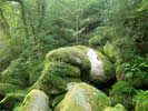 Chaos de rochers (Huelgoat) 
