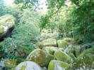 Chaos de rochers (Huelgoat) 