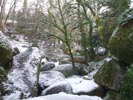 Chaos de rochers (Huelgoat) 