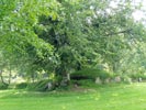 Le dolmen Ti ar Boudiged (Brennilis) 