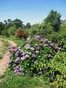 Vue du plateau des Hortensias